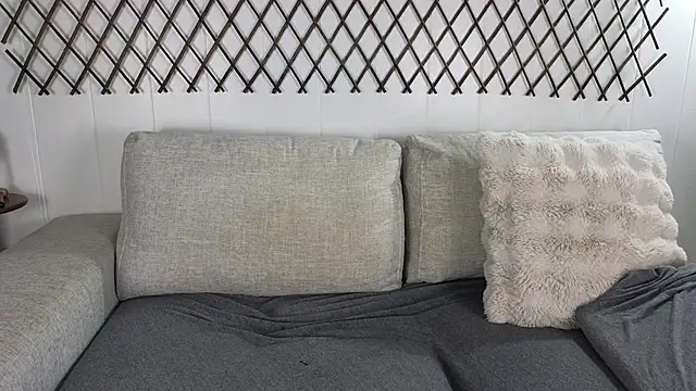 Snapshot of aryafrei chatting on 2, 3, 2026 aryafrei online show from 2, 3, 2026