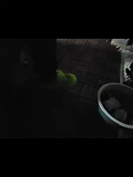 0815lukas2024 online show from 16, 11, 2025