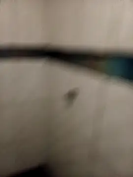 Snapshot of ladygmusic chatting on 6, 2, 2026 ladygmusic online show from 6, 2, 2026