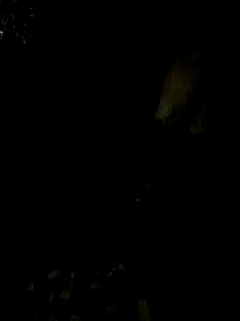 Snapshot of Tamil_boy_age28 chatting on 15, 2, 2025 Tamil boy age28 online show from 15, 2, 2025