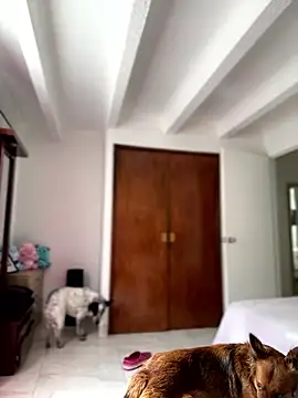 Snapshot of Salome_golvert chatting on 9, 1, 2026 Salome golvert online show from 9, 1, 2026