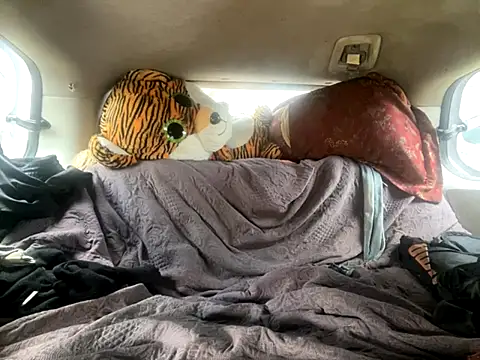 SlimeCrownzOut5 online show from 18, 11, 2025