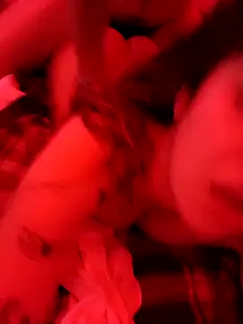 Elenitacandy online show from 19, 11, 2025