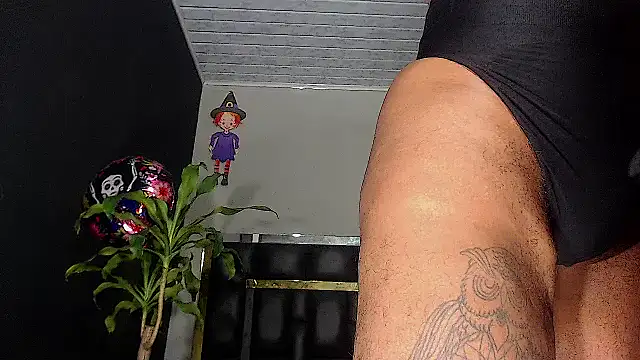 Kitie Petarda online show from 8, 11, 2025