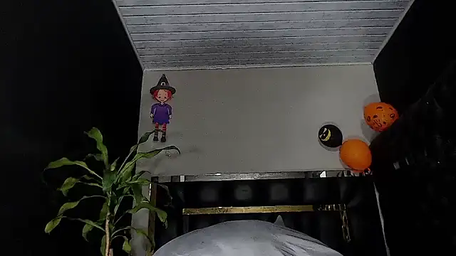 Kitie Petarda online show from 23, 11, 2025