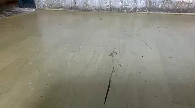 Snapshot of itstherahul chatting on 17, 2, 2025 itstherahul online show from 17, 2, 2025