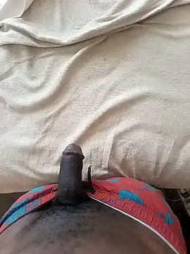 VotedSouffle online show from 12, 1, 2026