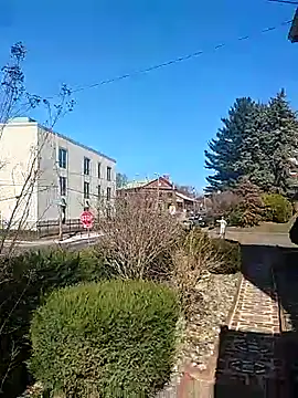 DARemo42O online show from 9, 3, 2025