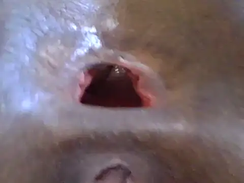 petitev online show from 17, 12, 2024