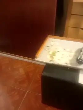 jmliimonsito online show from 3, 4, 2026