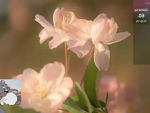 Lovensetest online show from 22, 10, 2025