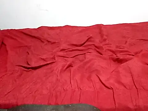 Snapshot of wel9238 chatting on 1, 3, 2026 wel9238 online show from 1, 3, 2026