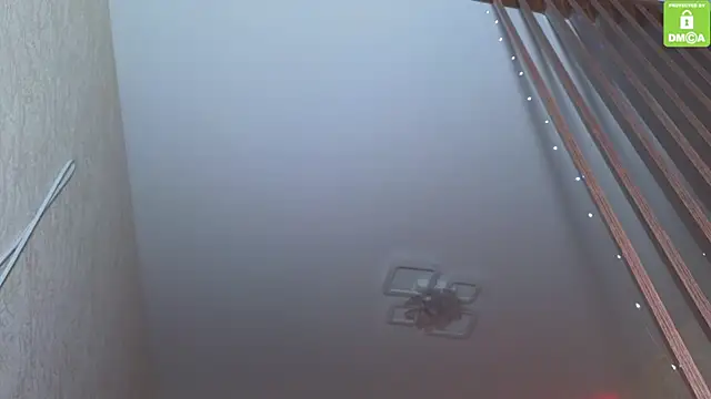 Katy perry  online show from 27, 11, 2025