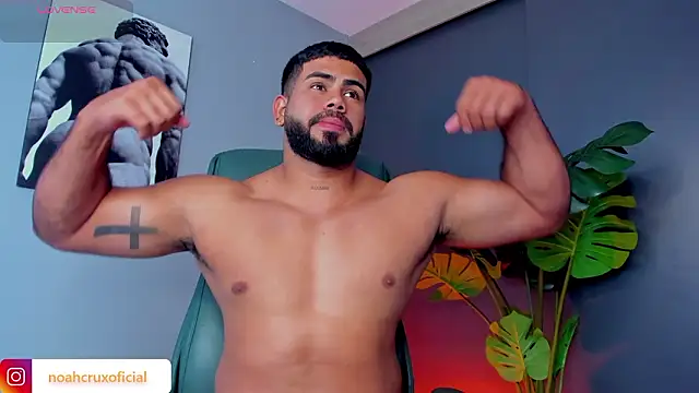 Snapshot of noah_crux chatting on 19, 3, 2026 noah crux online show from 19, 3, 2026