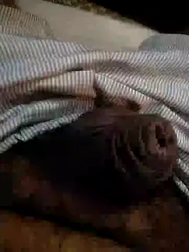 Kinkyluvi online show from 6, 1, 2025