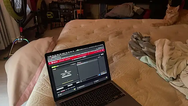 Snapshot of kameray12 chatting on 8, 11, 2025 kameray12 online show from 8, 11, 2025