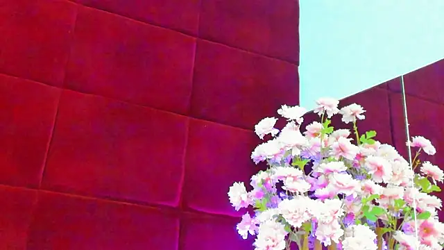 Snapshot of Alexxa chatting on 28, 10, 2025 Alexxa online show from 28, 10, 2025