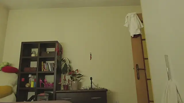 Niter online show from 15, 1, 2025