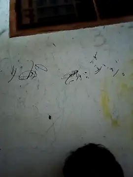 jayabal-04 online show from 18, 12, 2025