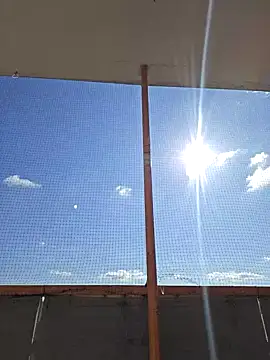 McdyllanXX online show from 15, 3, 2025