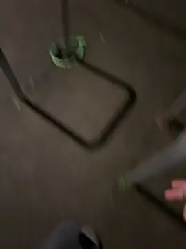 Tom and zoe online show from 17, 2, 2026