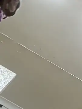 Snapshot of Off_the_Lesh chatting on 2, 3, 2026 Off the Lesh online show from 2, 3, 2026