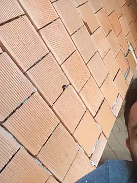 Snapshot of Kurtsikici@xh chatting on 16, 10, 2025 Kurtsikicixh online show from 16, 10, 2025