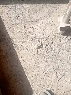 Snapshot of Kurtsikici@xh chatting on 21, 10, 2025 Kurtsikicixh online show from 21, 10, 2025