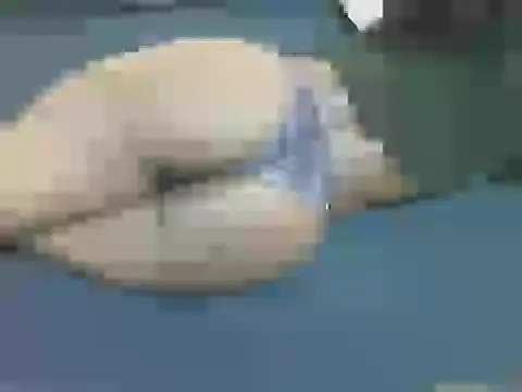 Snapshot of lella-0 chatting on 16, 10, 2025 lella-0 online show from 16, 10, 2025