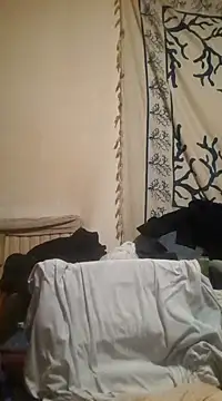 Snapshot of felice66 chatting on 11, 12, 2024 felice66 online show from 11, 12, 2024