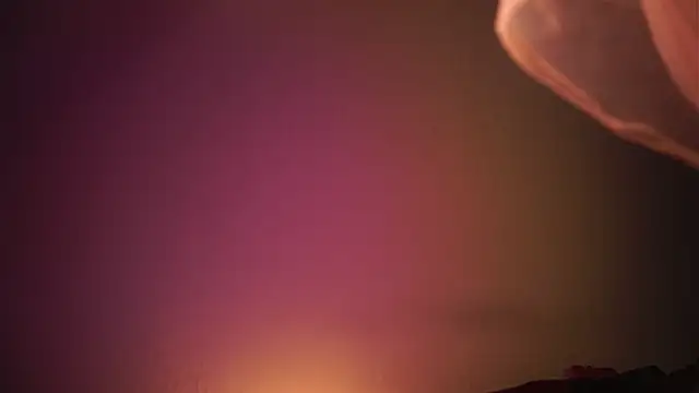 ginger hugs online show from 26, 12, 2024