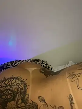 Snapshot of TigrezaSC chatting on 6, 2, 2025 TigrezaSC online show from 6, 2, 2025