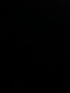 430am online show from 8, 3, 2025