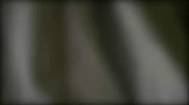 Snapshot of YoungHairyBi chatting on 28, 2, 2025 YoungHairyBi online show from 28, 2, 2025