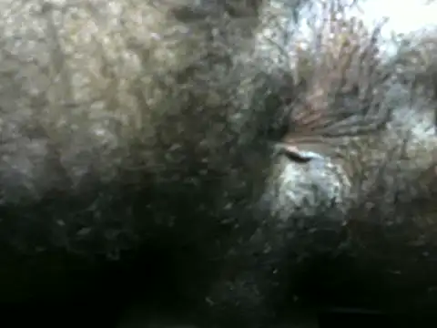 Snapshot of michel_sc chatting on 9, 12, 2024 michel sc online show from 9, 12, 2024