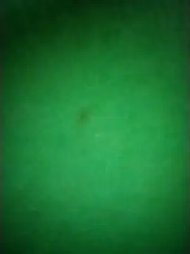 Snapshot of Zane_Natha chatting on 10, 11, 2025 Zane Natha online show from 10, 11, 2025