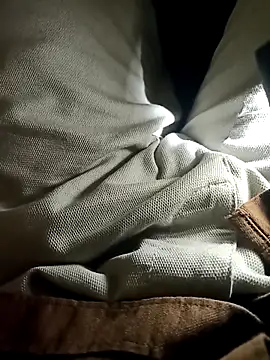 bangaloresexyguy online show from 31, 1, 2026