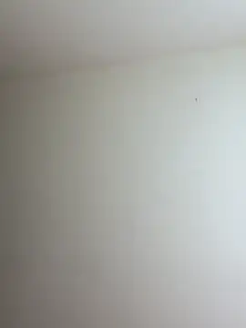 mikuru hara online show from 4, 4, 2026