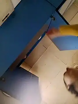 Snapshot of Gussie_Bridie chatting on 24, 10, 2025 Gussie Bridie online show from 24, 10, 2025