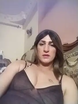 ingishemale1 online show from 15, 4, 2026