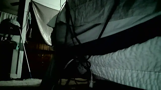 paiday online show from 26, 12, 2024