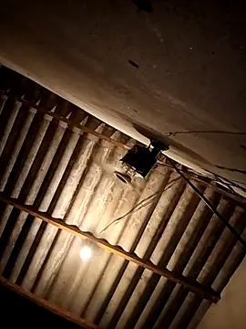 eupica1195 online show from 11, 10, 2025