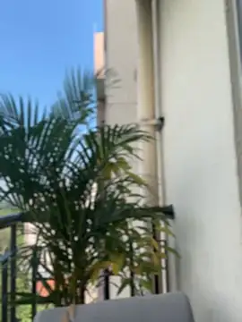 Snapshot of Pretty_Isadora chatting on 4, 2, 2026 Pretty Isadora online show from 4, 2, 2026