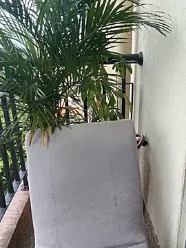 Snapshot of Pretty_Isadora chatting on 4, 3, 2026 Pretty Isadora online show from 4, 3, 2026