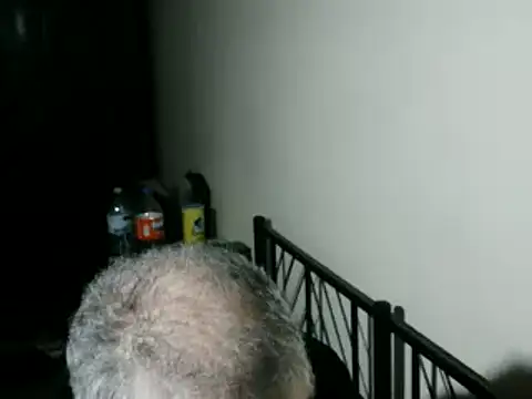 100Tauros online show from 5, 2, 2026