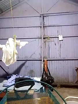 leyel00155 online show from 12, 3, 2026