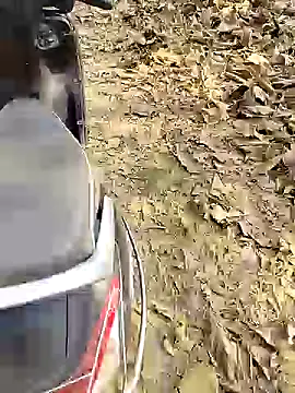 Snapshot of 88karan88 chatting on 25, 12, 2024 88karan88 online show from 25, 12, 2024