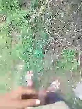 Snapshot of 88karan88 chatting on 20, 1, 2025 88karan88 online show from 20, 1, 2025