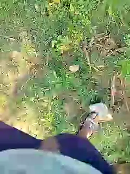 Snapshot of 88karan88 chatting on 23, 1, 2025 88karan88 online show from 23, 1, 2025