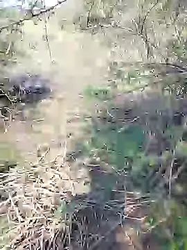 Snapshot of 88karan88 chatting on 25, 1, 2025 88karan88 online show from 25, 1, 2025